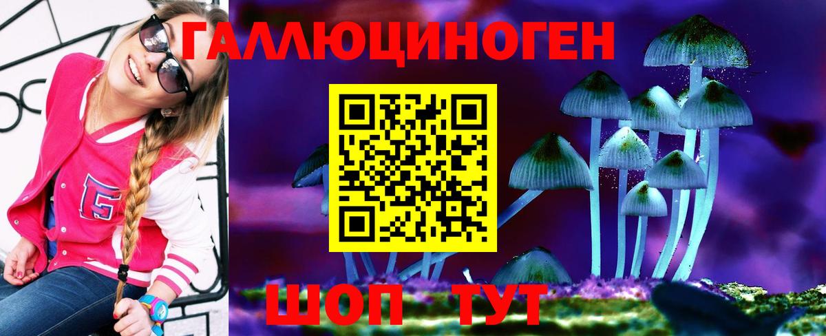 Псилоцибиновые грибы MAGIC MUSHROOMS  Псилоцибиновые грибы Magic Shrooms  где найти наркотики  Ачинск  Вход с VPN 